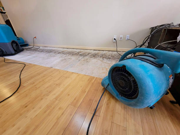 Professional Water Damage Repair technician working in Melvindale, MI